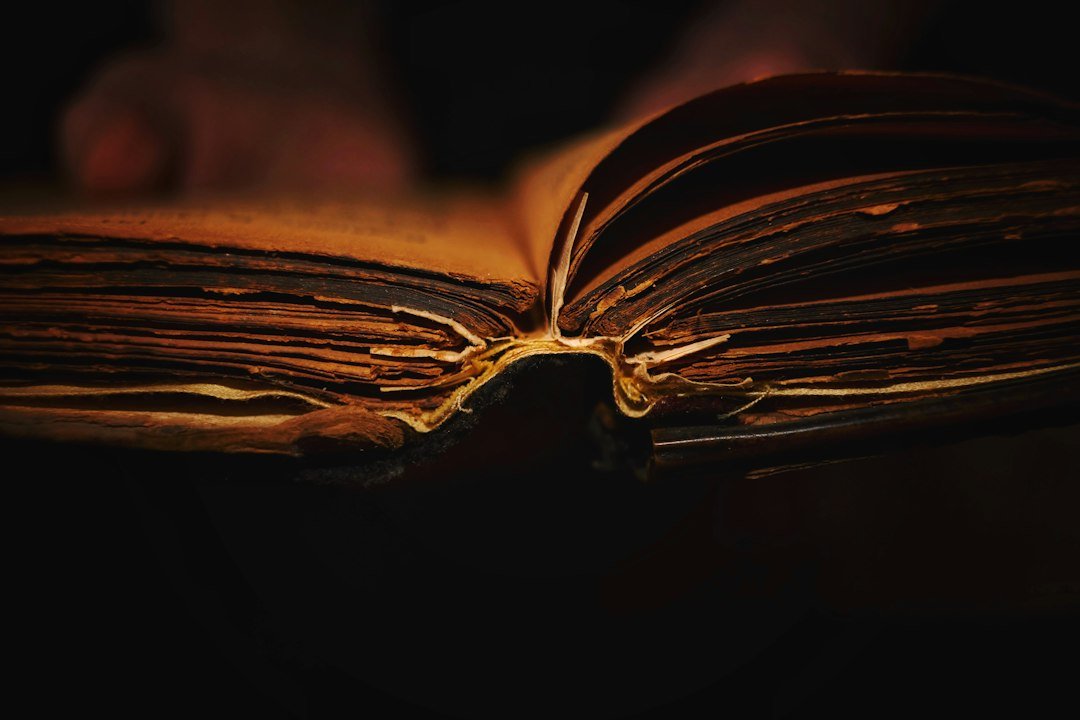 Worn dictionary pages in warm afternoon light, open on a wooden table, no readable text