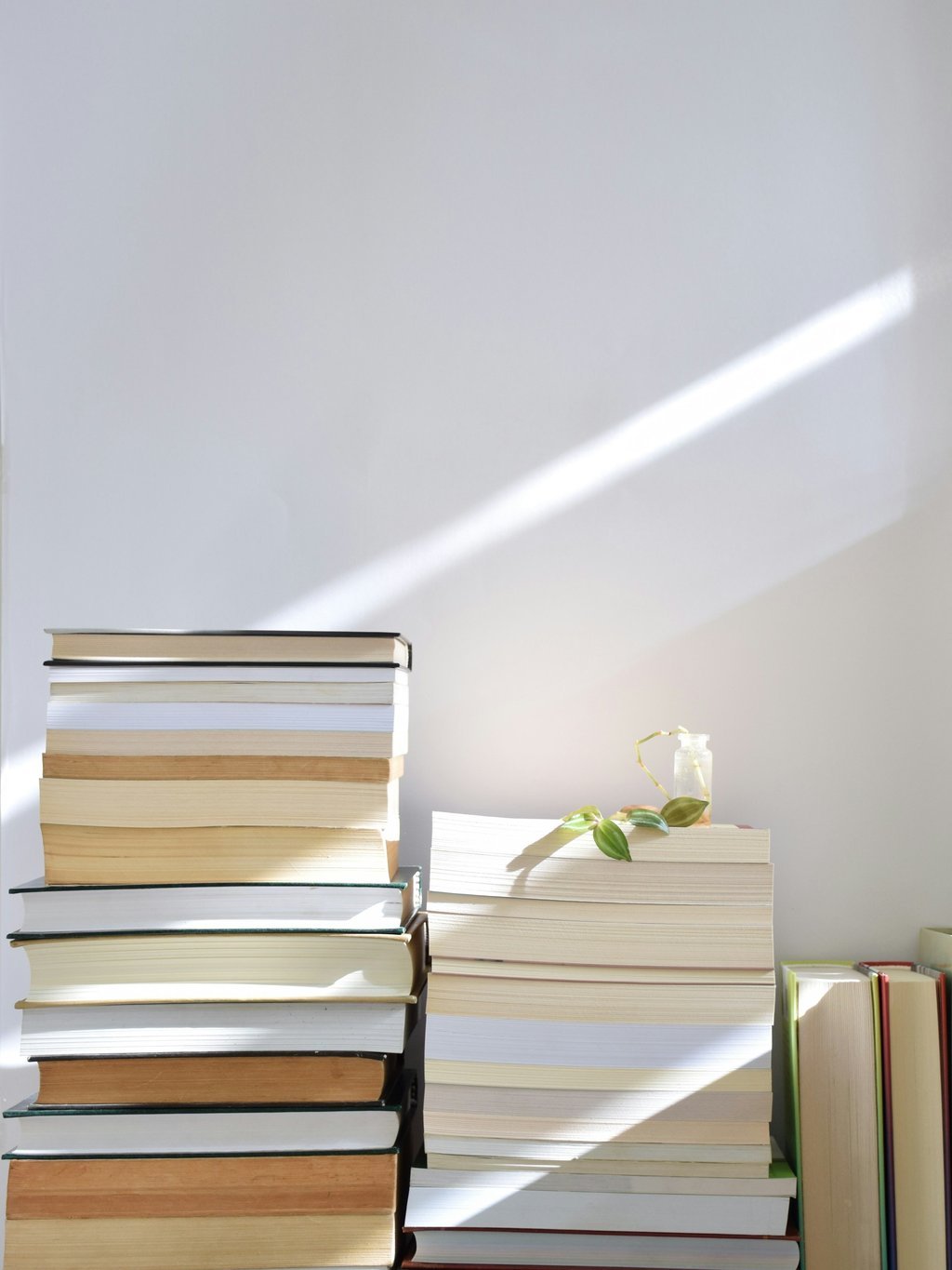 Two stacks of books against a white wall, with a stripe of sunlight and a small plant cutting in a glass bottle